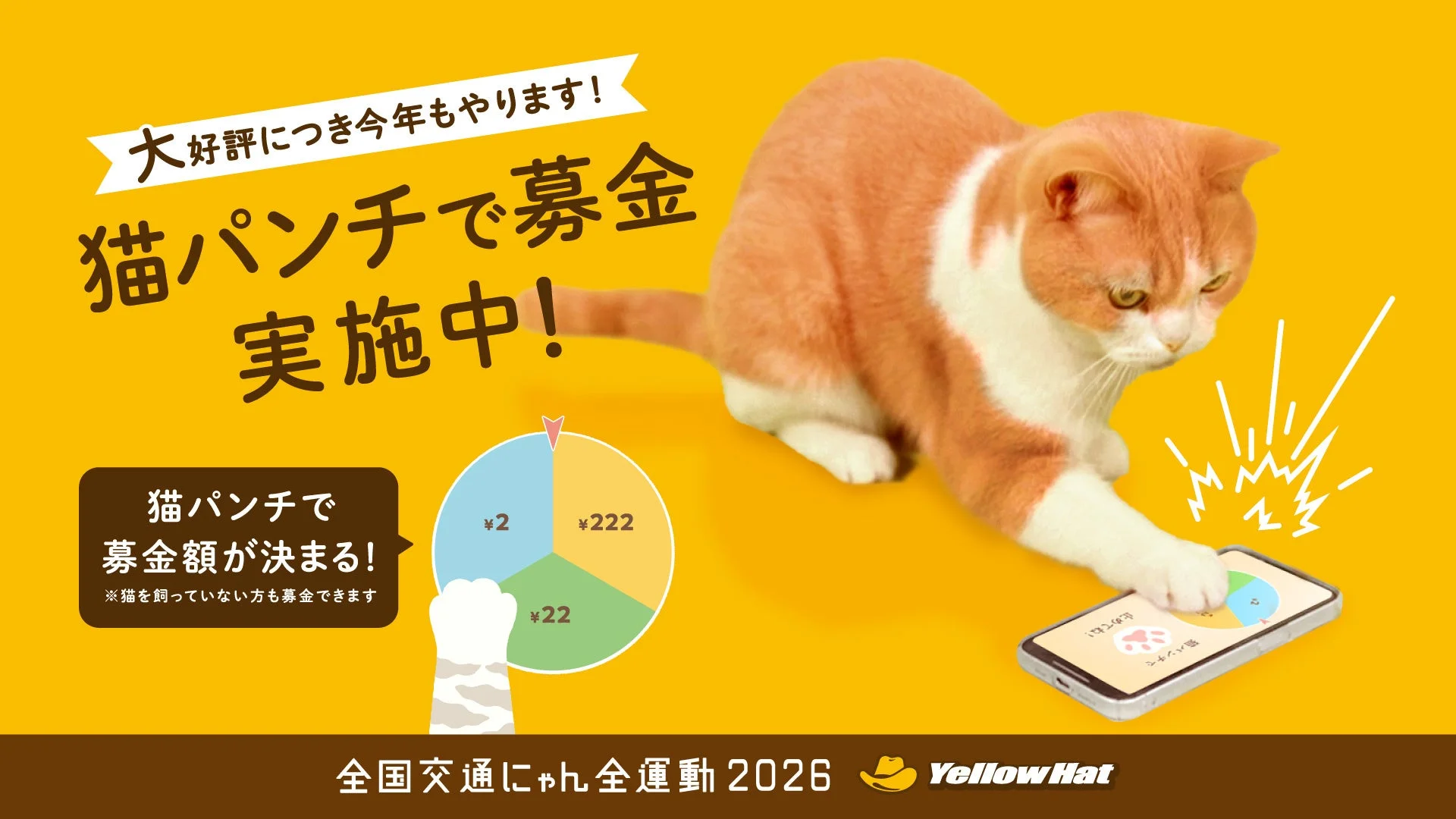スマートフォンで猫が猫パンチするデジタル募金の告知、募金額のルーレット表示