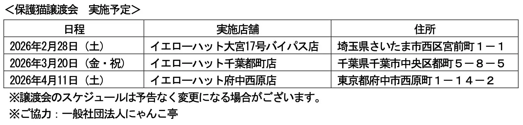 イエローハット店舗での保護猫譲渡会実施予定表