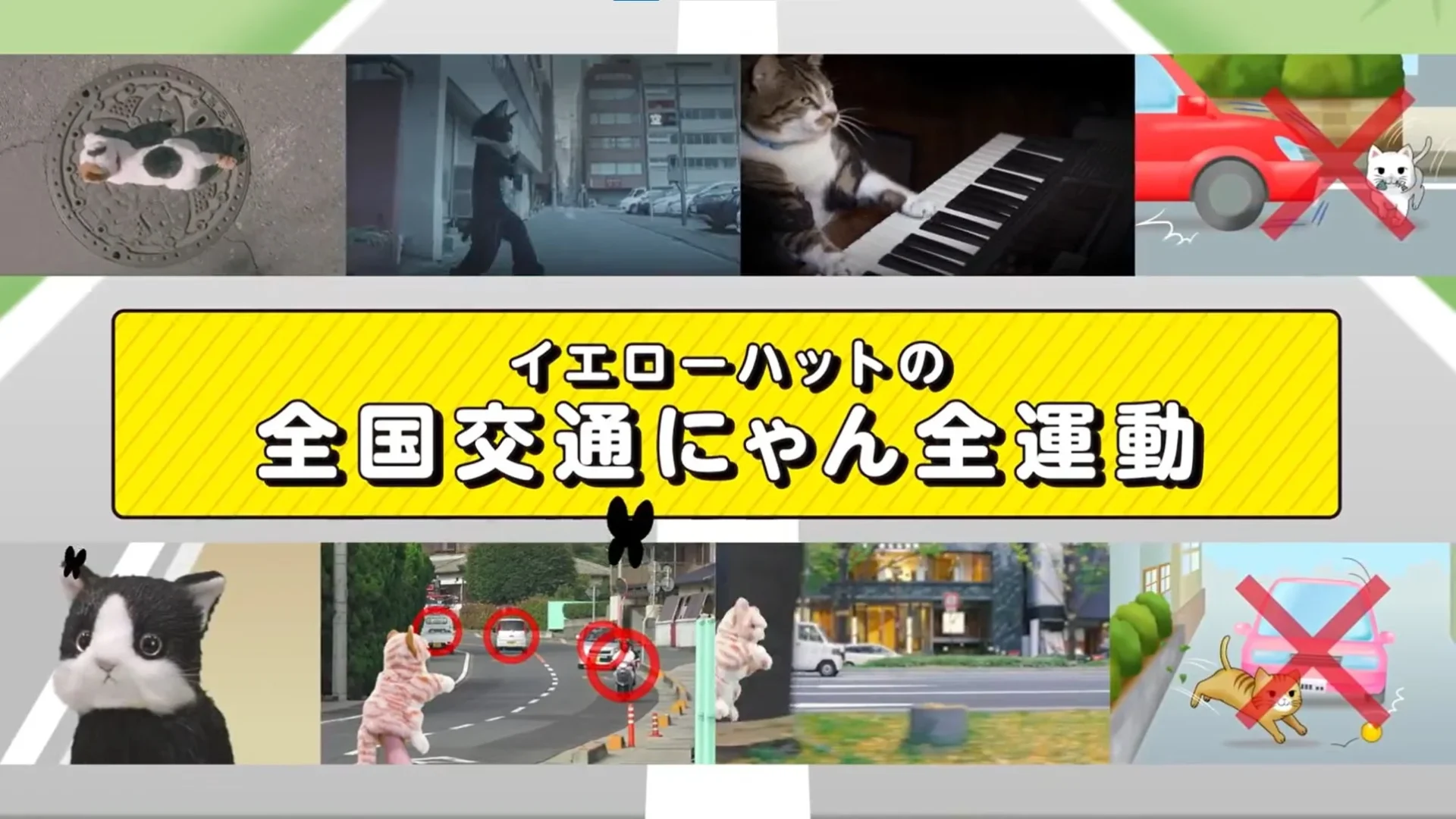 2019年「猫専用の交通安全動画」のサムネイル画像