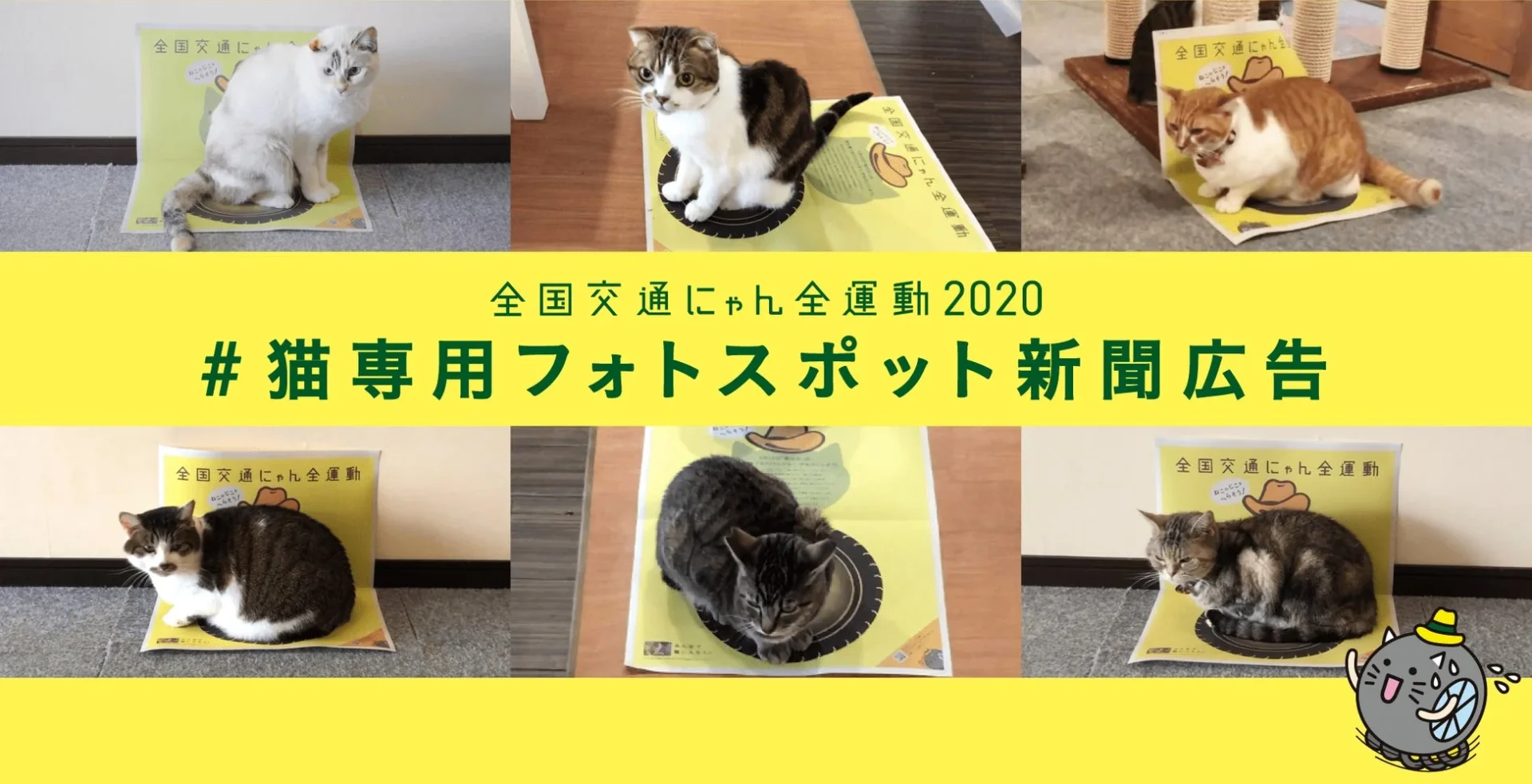 2020年「猫専用フォトスポット」新聞広告のイメージ