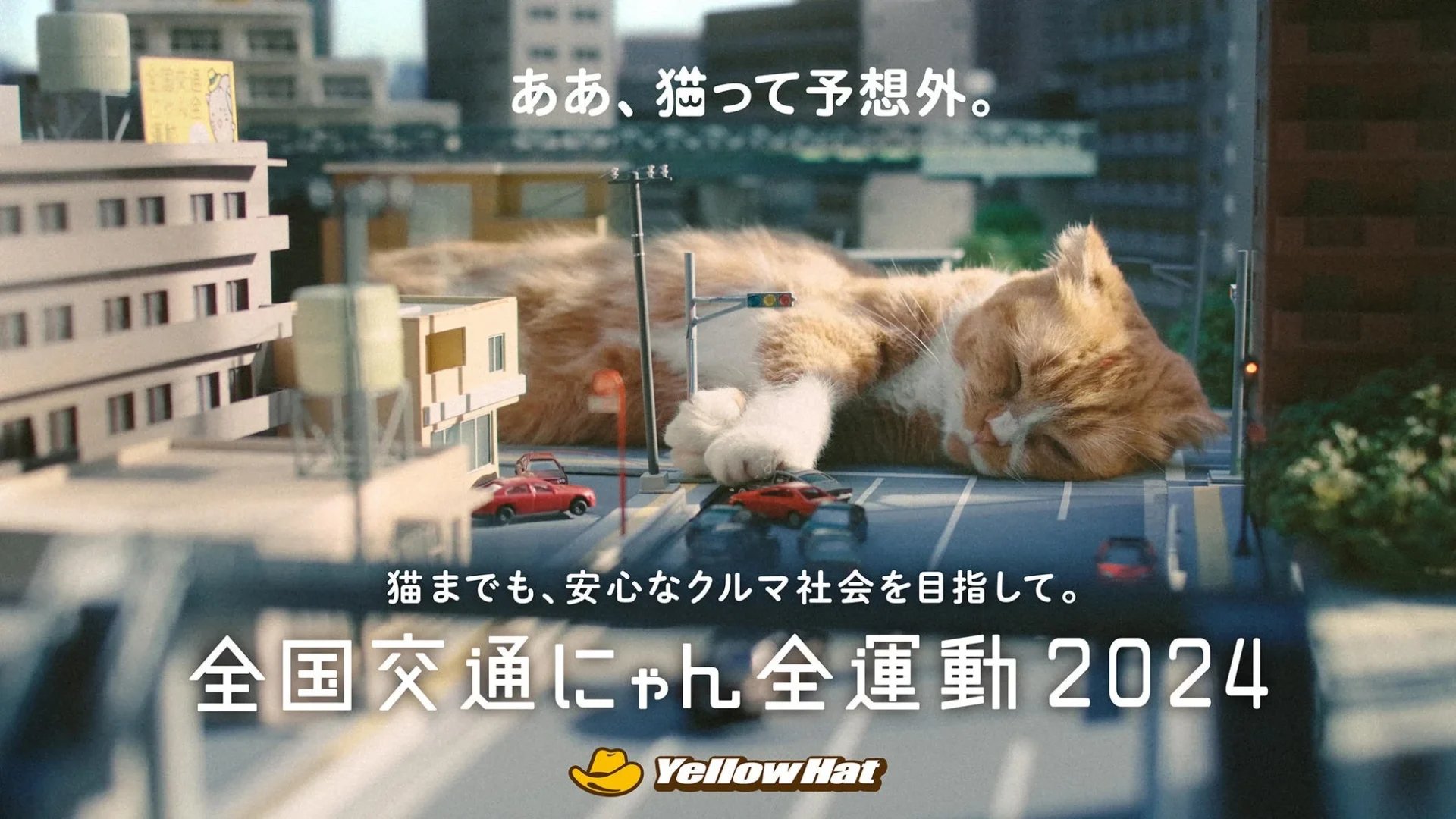 2024年「ああ、猫って予想外。」CMのメインビジュアル