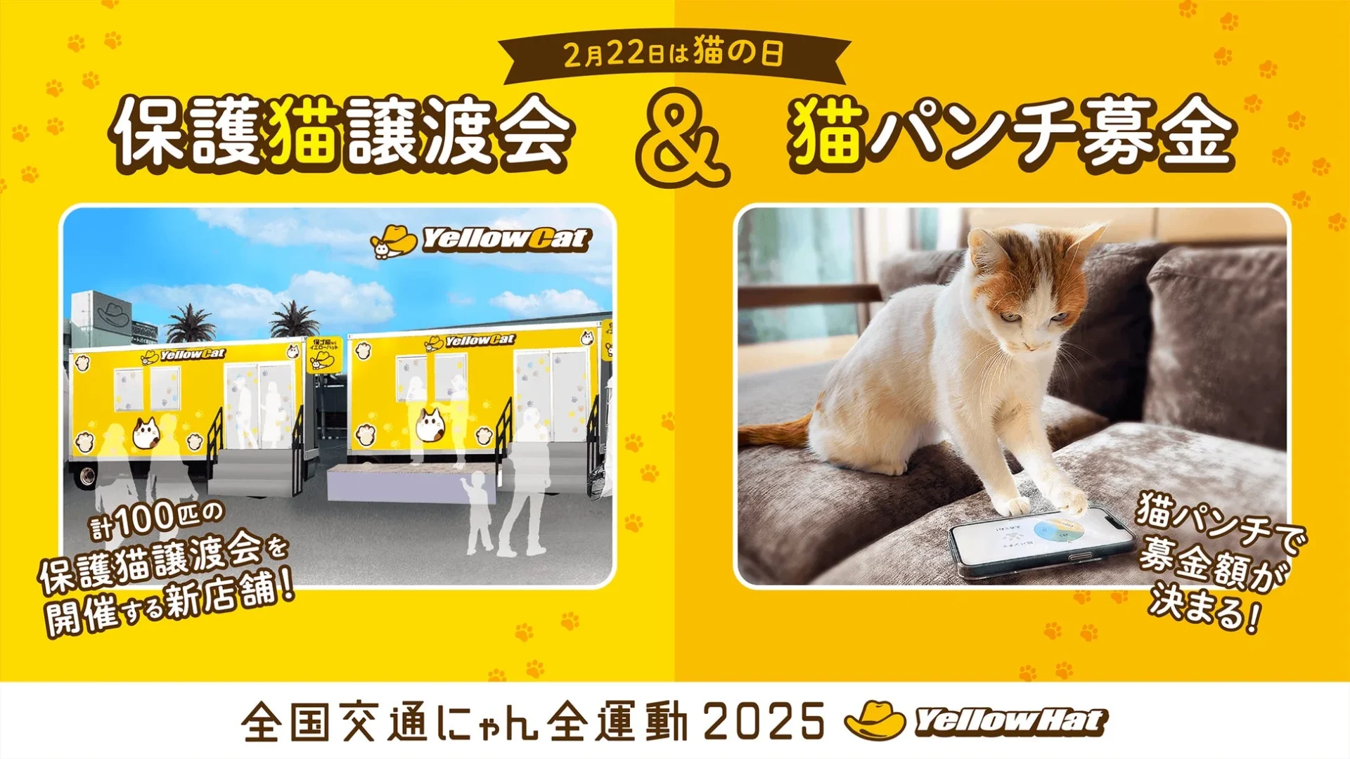 2025年保護猫譲渡会「イエローキャット」と猫パンチ募金の告知ビジュアル