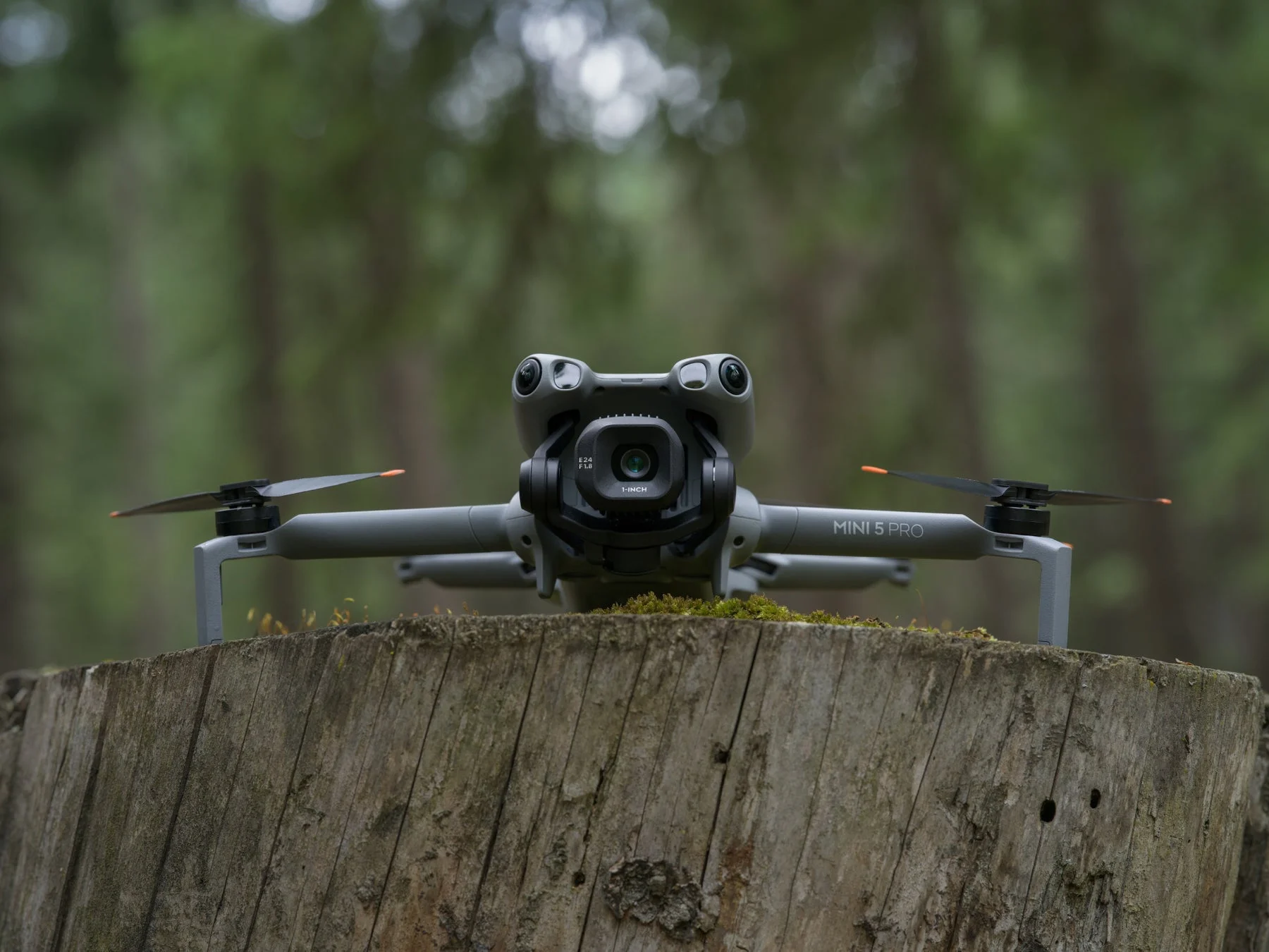 木の切り株に置かれたDJI Mini 5 Proドローン。