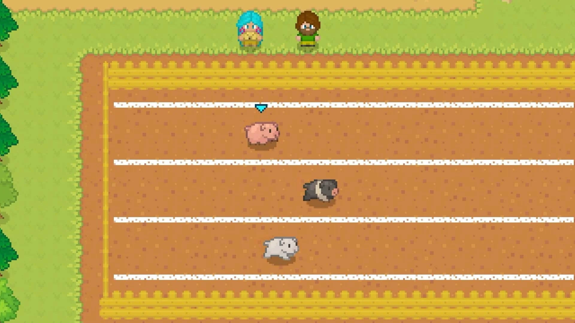 ほのぼの釣り物語のミニゲーム（ニワトリ捕獲）画面