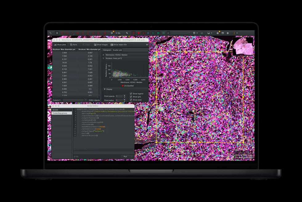 MacBook ProでQuPathによる画像解析を行う画面