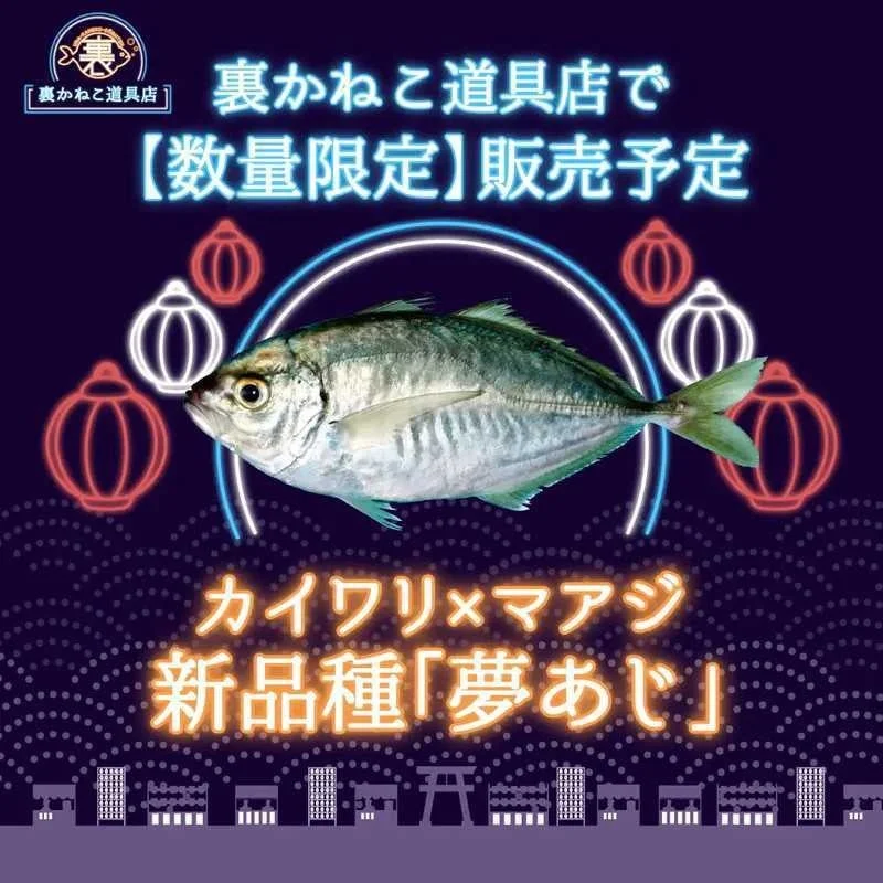 きまぐれクック氏のECサイト「裏かねこ道具店」での「夢あじ」販売告知