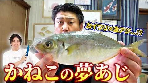 人気YouTubeクリエイター「へんな魚おじさん」氏が「夢あじ」を紹介する動画
