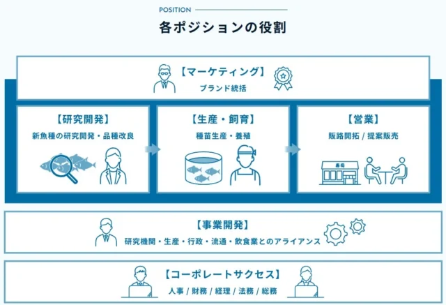 株式会社さかなドリームの各ポジションの役割を示す組織図