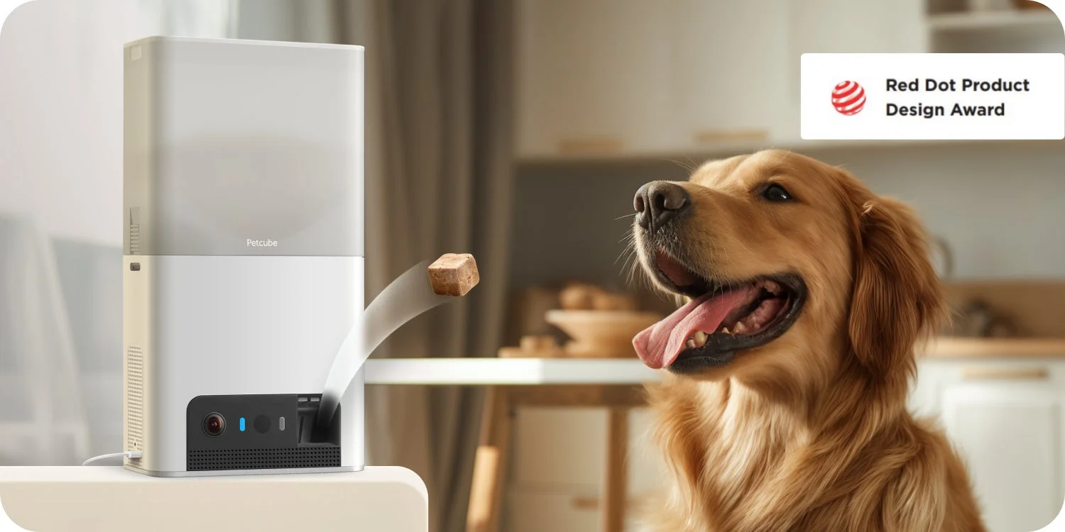 Petcube Bites 2 Liteからおやつが飛び出し喜ぶ犬