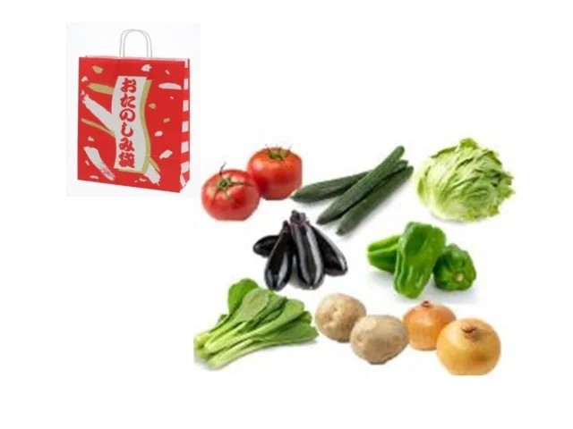 地場・近郷野菜を詰め合わせたお楽しみ袋