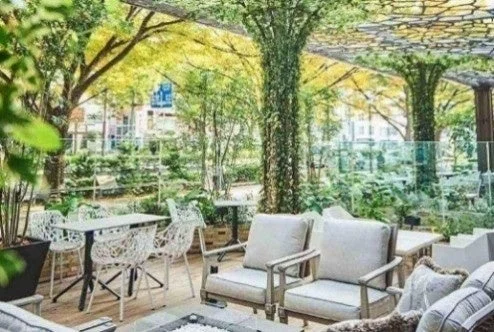 緑に囲まれたCafe & Dining ZelkovA表参道のテラス席