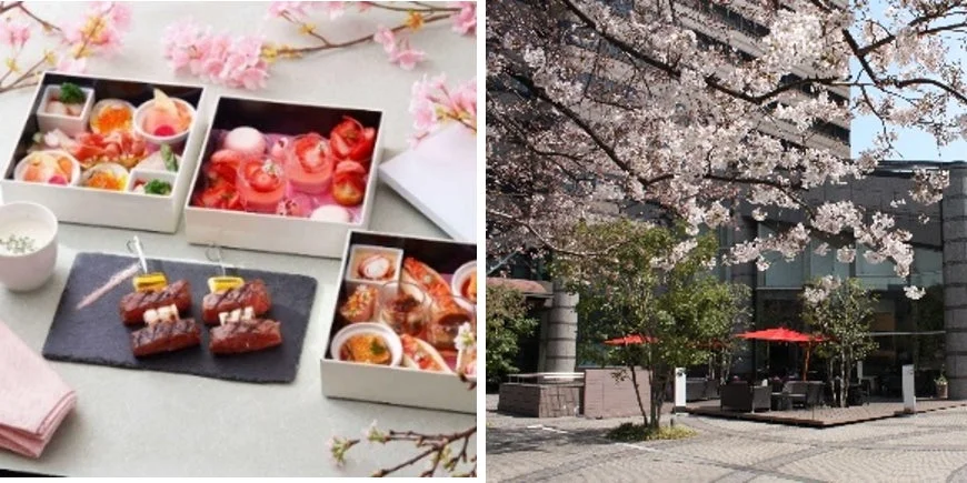 東京マリオットホテルLounge & Dining Gのお花見ランチと桜が見えるテラス席