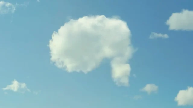 空に浮かぶチキンの形をした雲