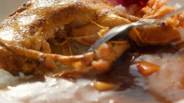 スプーンでほぐれる炭火焼きほろほろチキン