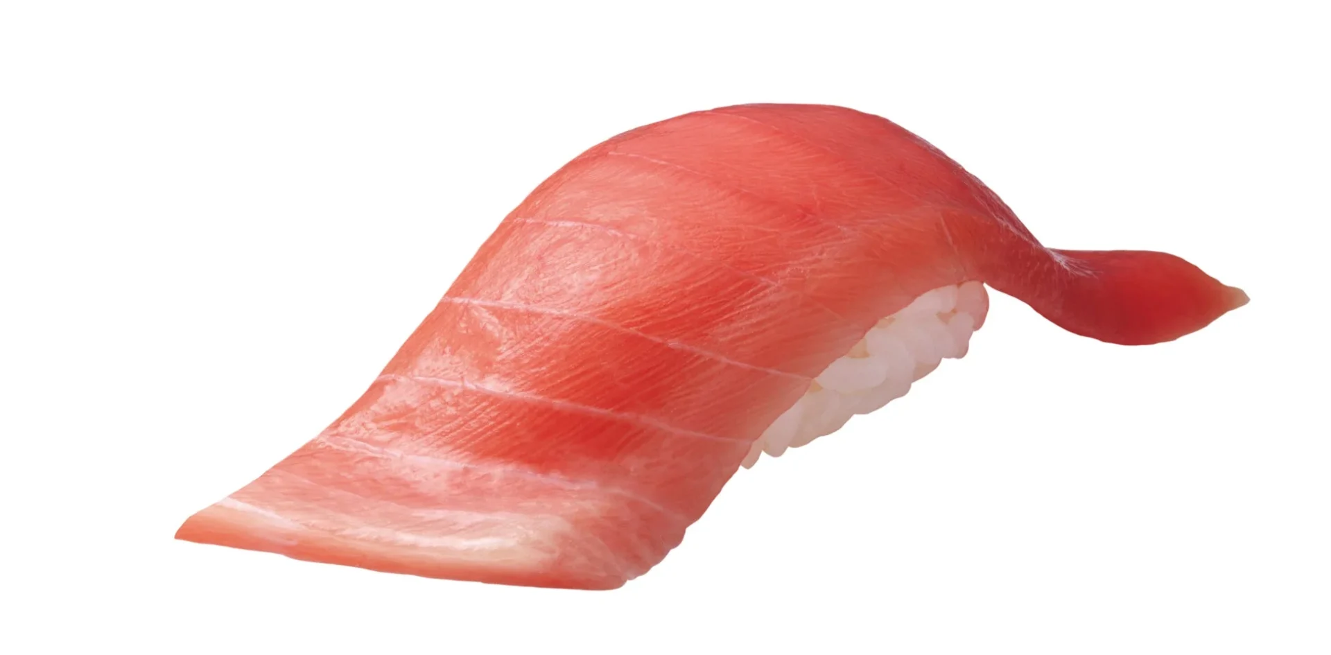 地中海産 大切り本鮪中とろ