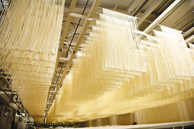 工場の乾燥室に吊るされた手延べうどん