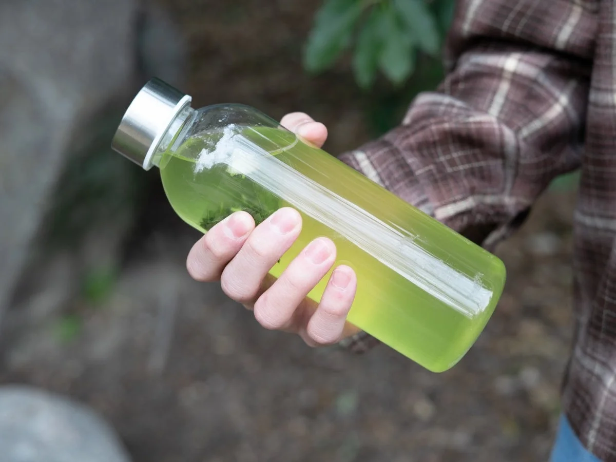 マイボトルに入った水出し日本茶を持つ手元