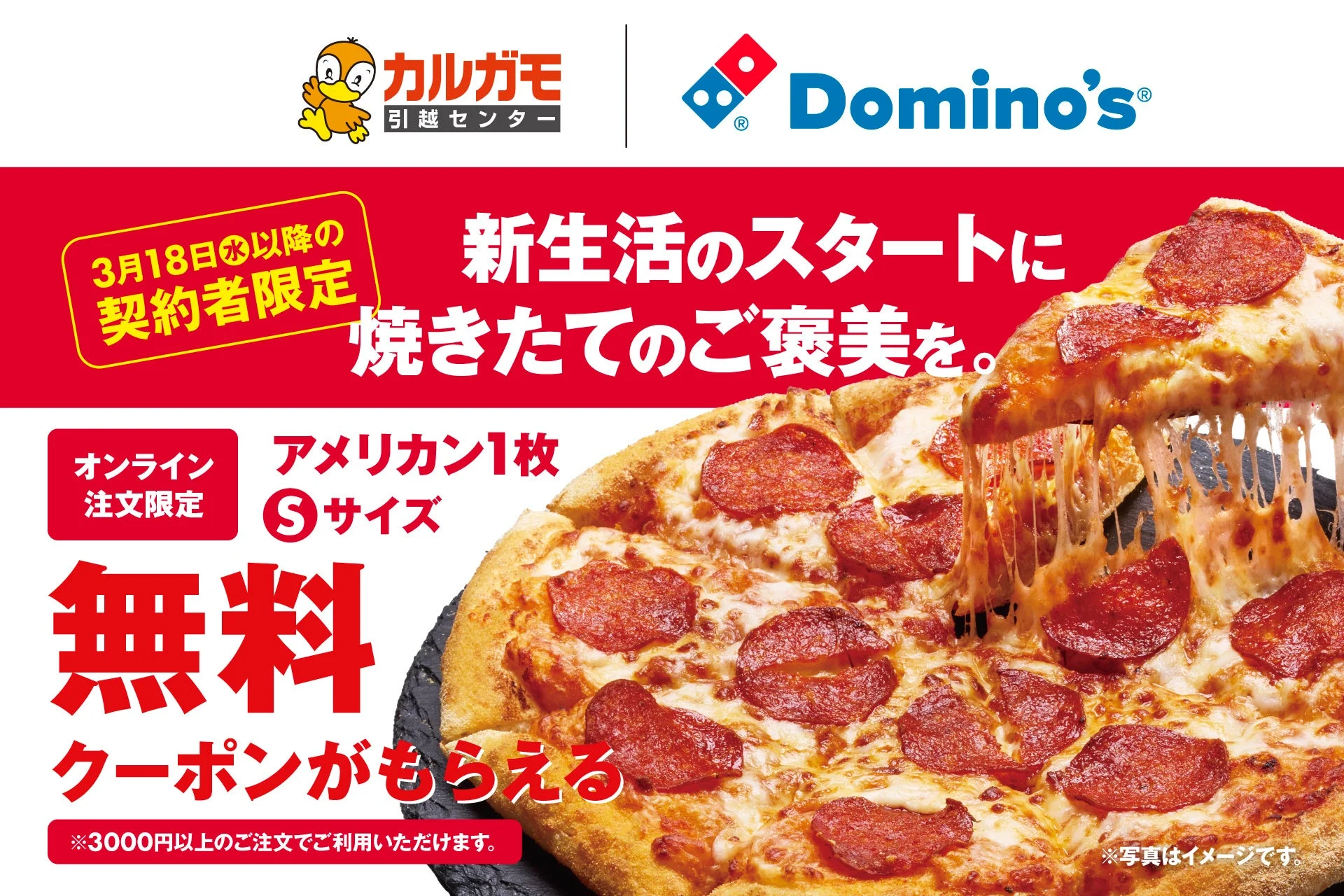 カルガモ引越センターとドミノ・ピザの春の引っ越し応援キャンペーンバナー