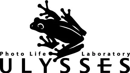 ULYSSESブランドロゴ