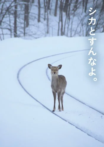 雪の中の鹿のポスター「シカとすん なよ。」
